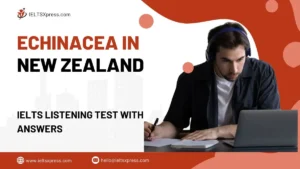 Echinacea in Newzealand ielts listening