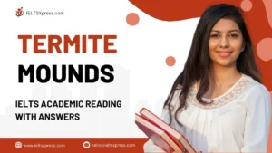 Termite Mounds Reading Answers
