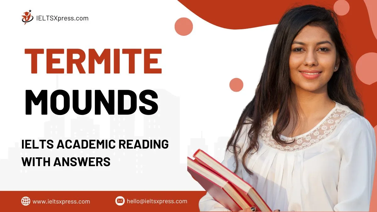 Termite Mounds Reading Answers
