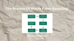 The Process Of Waste Paper Recycling IELTS Process Diagram