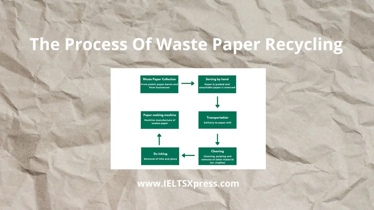 The Process Of Waste Paper Recycling IELTS Process Diagram